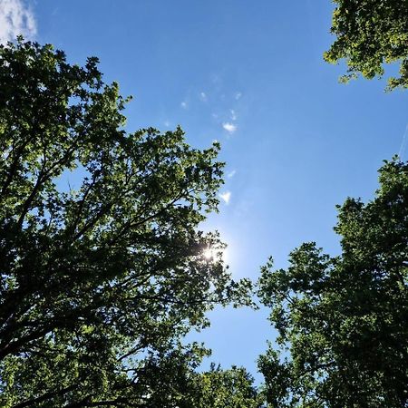 Hotel Stacaravan Verhuur Drenthe Eext Exteriér fotografie